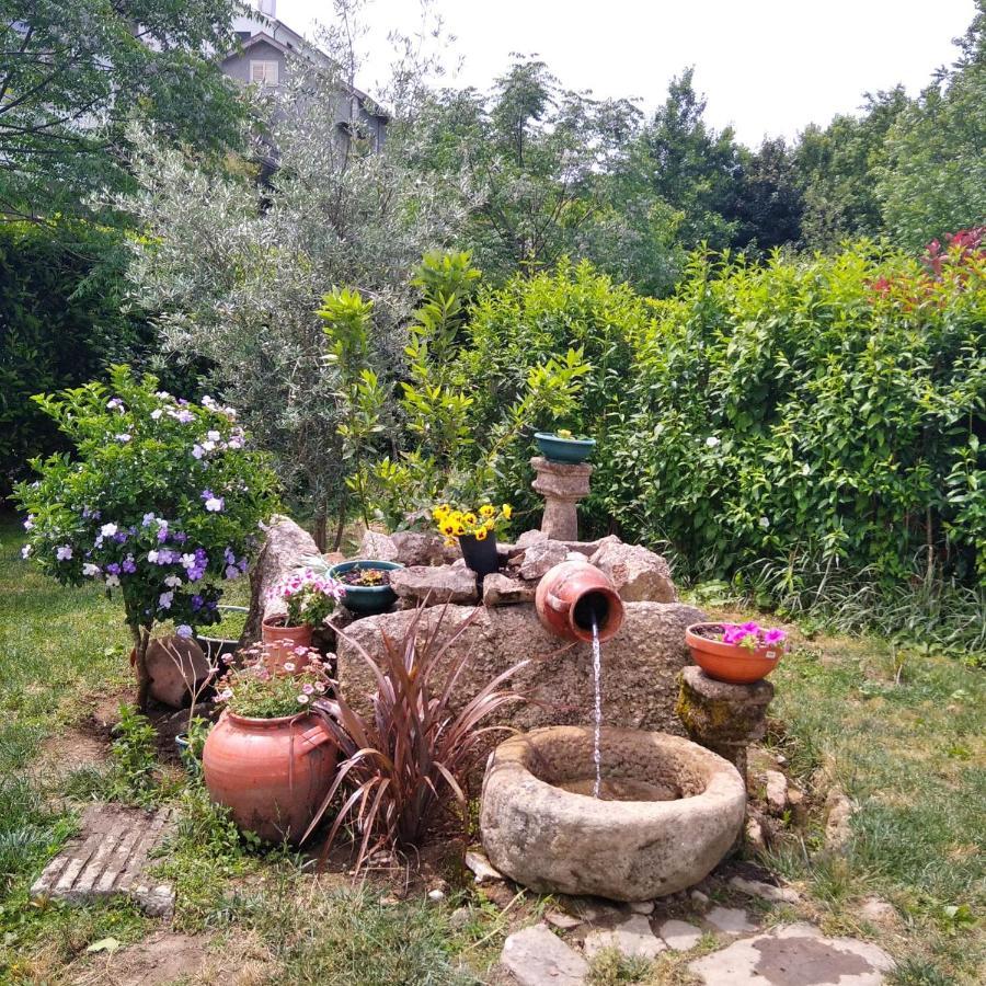 Villa Garden & Pool - Alojamentos Селорику-ди-Башту Экстерьер фото
